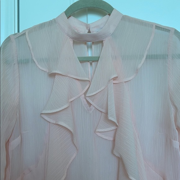 Light Pink Sheer Blouse - Picture 2 of 3